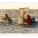 Pêcheurs au haveneau à Ault