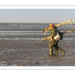 Pêcheurs au haveneau à Ault