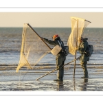 Pêcheurs au haveneau à Ault