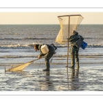 Pêcheurs au haveneau à Ault