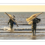 Pêcheurs au haveneau à Ault