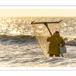 Pêcheurs au haveneau à Ault