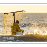 Pêcheurs au haveneau à Ault