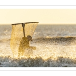 Pêcheurs au haveneau à Ault