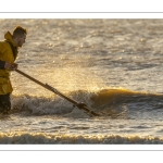 Pêcheurs au haveneau à Ault