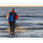 Pêcheurs au haveneau à Ault