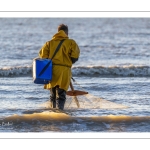 Pêcheurs au haveneau à Ault