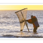 Pêcheurs au haveneau à Ault