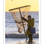 Pêcheurs au haveneau à Ault