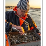 Pêcheurs au haveneau à Ault