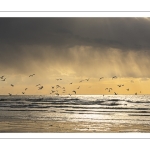 Un soir sur la plage à Ault