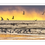 Un soir sur la plage à Ault