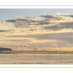 Un soir sur la plage à Ault