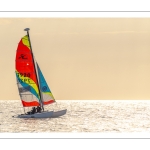 Retour des voiliers sur la plage
