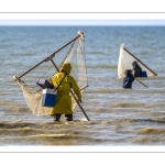 Pêcheur de crevette avec son haveneau