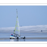Chars-à-voile sur la plage de Ault