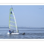 Chars-à-voile sur la plage de Ault