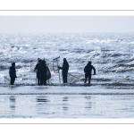Pêcheurs au haveneau sur la plage de Ault