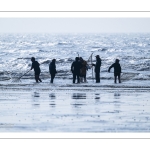 Pêcheurs au haveneau sur la plage de Ault