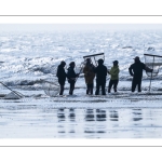 Pêcheurs au haveneau sur la plage de Ault