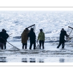 Pêcheurs au haveneau sur la plage de Ault