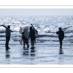 Pêcheurs au haveneau sur la plage de Ault
