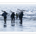 Pêcheurs au haveneau sur la plage de Ault
