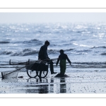Pêcheurs au haveneau sur la plage de Ault