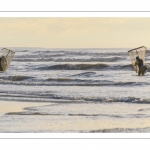 les falaises dans les embruns à Ault