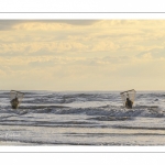 les falaises dans les embruns à Ault