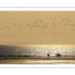 cavaliers sur la plage au soleil couchant