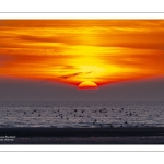 Coucher de soleil sur la plage