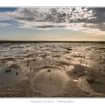 Le-Crotoy-13-08-2014_0002-border
