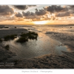 Le-Crotoy-13-08-2014_0040-border