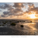 Le-Crotoy-13-08-2014_0041-border