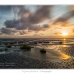 Le-Crotoy-13-08-2014_0042-border