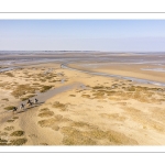 Entraînement de chevaux en baie de Somme