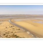 Entraînement de chevaux en baie de Somme
