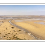 Entraînement de chevaux en baie de Somme