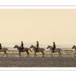 Entraînement de chevaux en baie de Somme