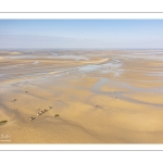 Entraînement de chevaux en baie de Somme