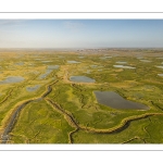 Les mollières face au Crotoy