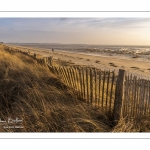 La plage du Crotoy et la baie de Somme vues depuis les dunes.