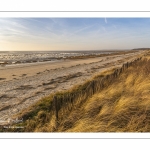 La plage du Crotoy et la baie de Somme vues depuis les dunes.