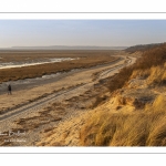 La plage du Crotoy et la baie de Somme vues depuis les dunes.