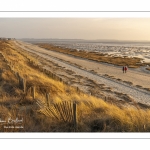 La plage du Crotoy et la baie de Somme vues depuis les dunes.