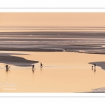 Crépuscule depuis le panorama sur la baie de Somme au Crotoy et pêcheurs de crevettes au haveneau