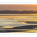 Crépuscule depuis le panorama sur la baie de Somme au Crotoy