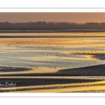 Crépuscule depuis le panorama sur la baie de Somme au Crotoy