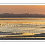 Crépuscule depuis le panorama sur la baie de Somme au Crotoy